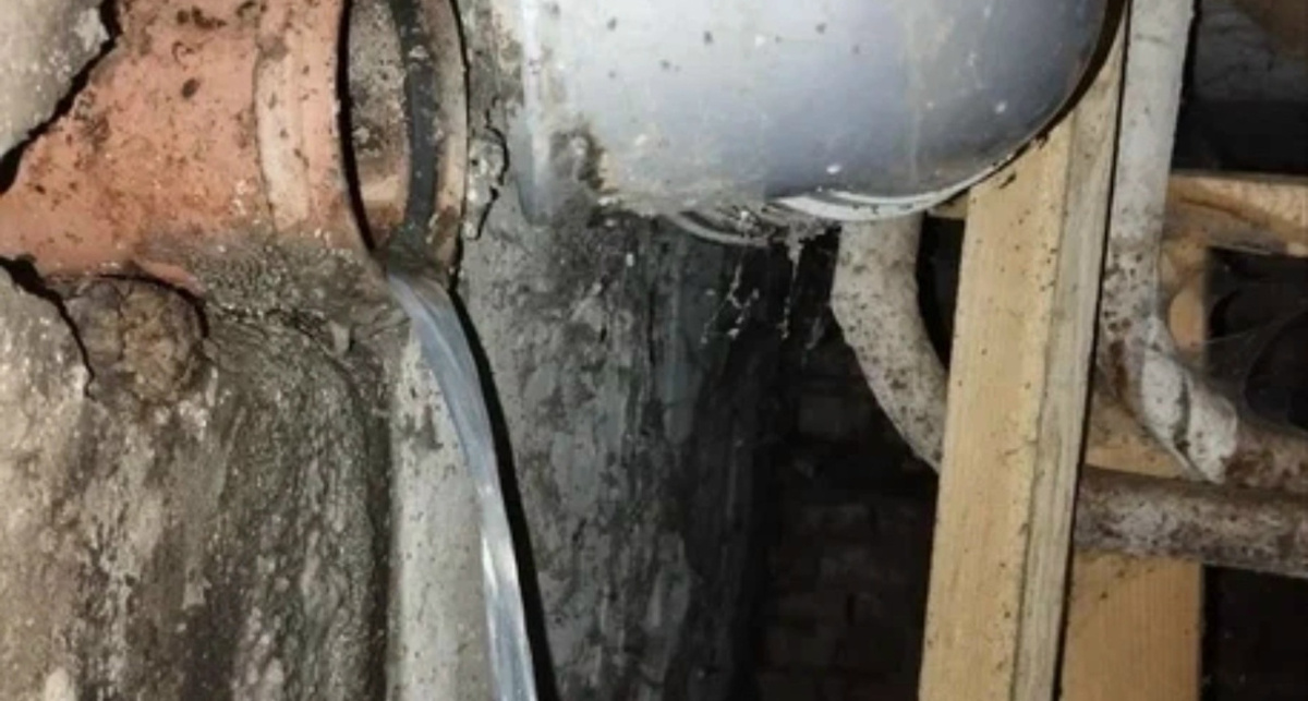    Народный фронт Ярославль