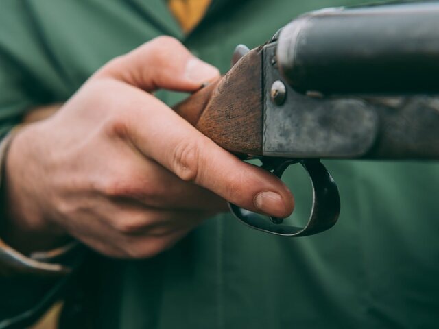    Фото: depositphotos/DmitryPoch