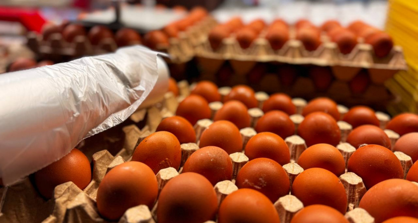    Первый городской канал Калининград