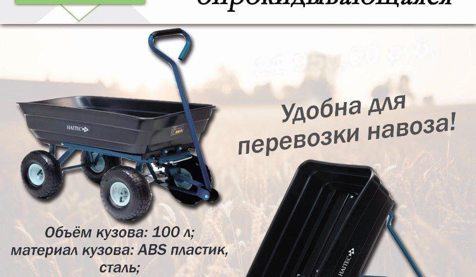 Добрый день