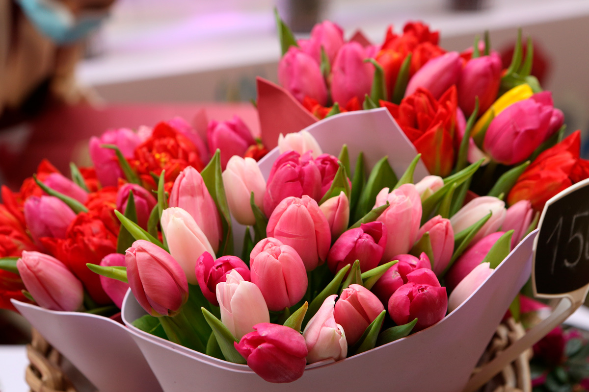    Фото: to_look_further / Shutterstock.com