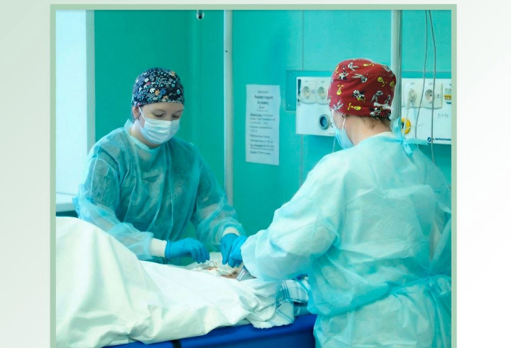 фото: Ленинградская Областная Клиническая Больница