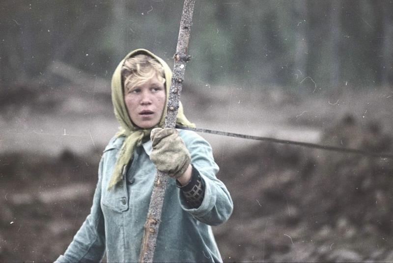 Женщина на стройке. Всеволод Тарасевич, 1965 год, Архангельская обл., МАММ/МДФ.