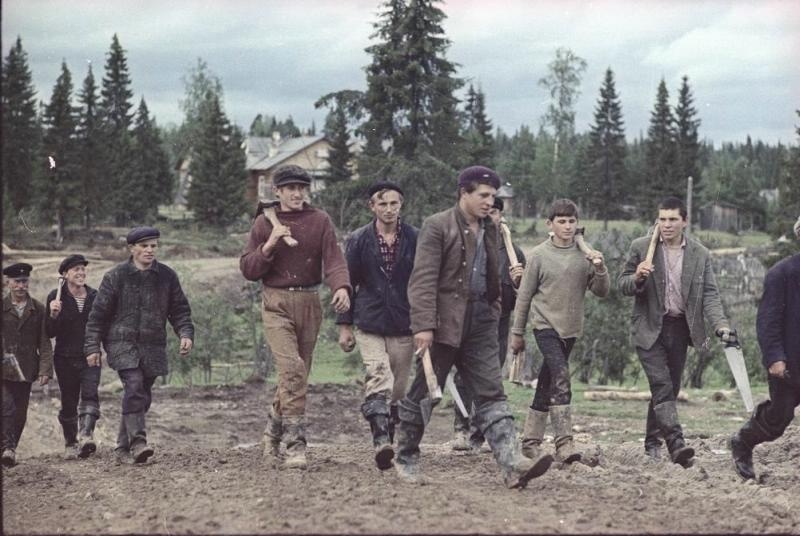 Строители СССР: серия снимков, сделанная в 1965 году