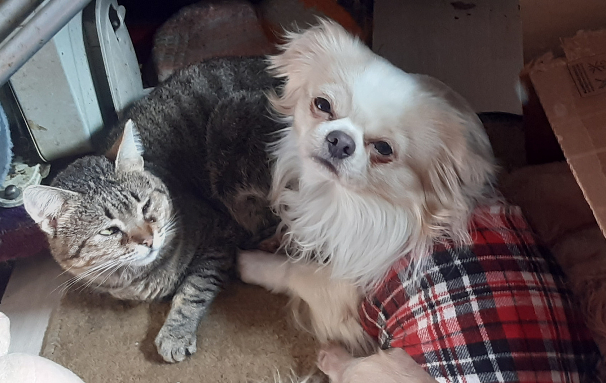 Ну что же ты моим цветам совсем- не рада?