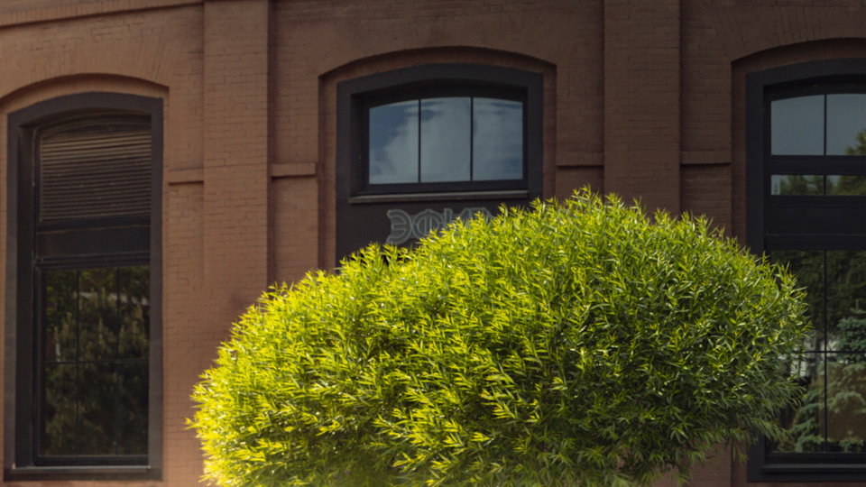 Need For Speed Underground 2026. Nissan 350Z и NFS. Моя фоторабота. Обработка фото. Автомобильный фотограф. Фотосессия на продажу.