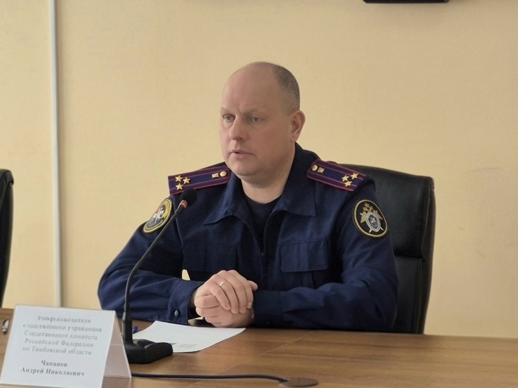     Источник: Следственное управление Следственного комитета Российской Федерациипо Тамбовской области