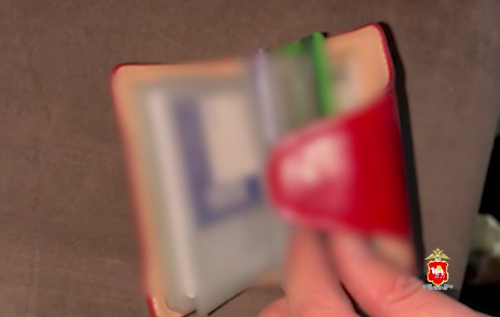 Фото: пресс-служба ГУ МВД России по Челябинской области