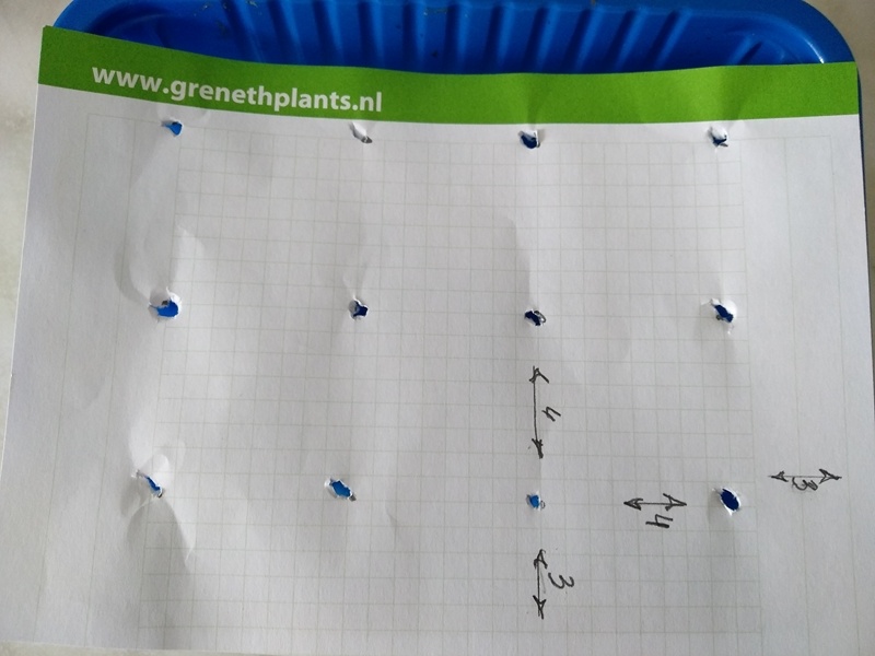 Подготовка листа для посева лобелии кучками