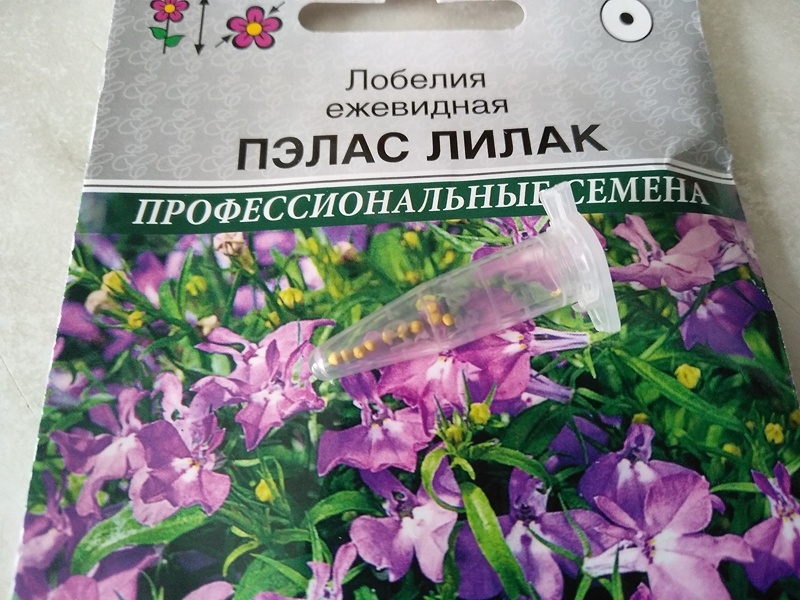Пластиковая туба с 10 дражированными семенами лобелии