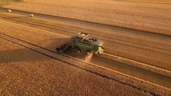 Обложка © Shutterstock / FOTODOM / Nikolai Tsvetkov