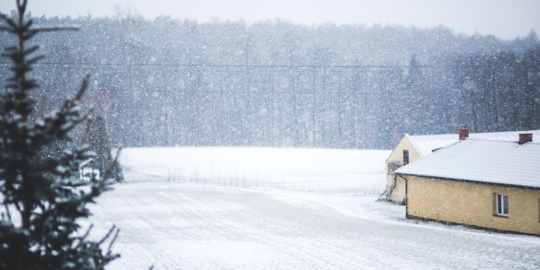 Снегопады и 20-градусный мороз. В Россию пришел циклон «Тамара»: какие регионы в зоне риска