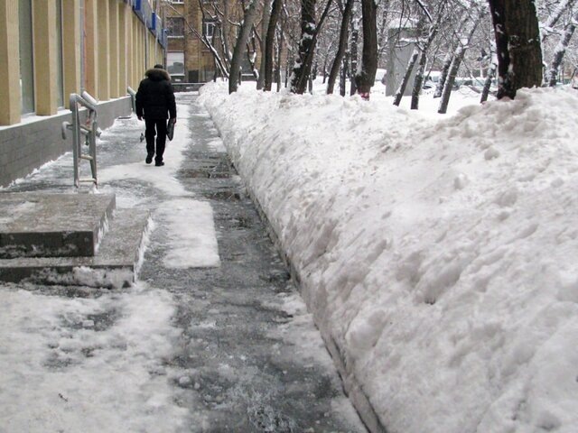    Фото: Москва 24/Долматова Елена