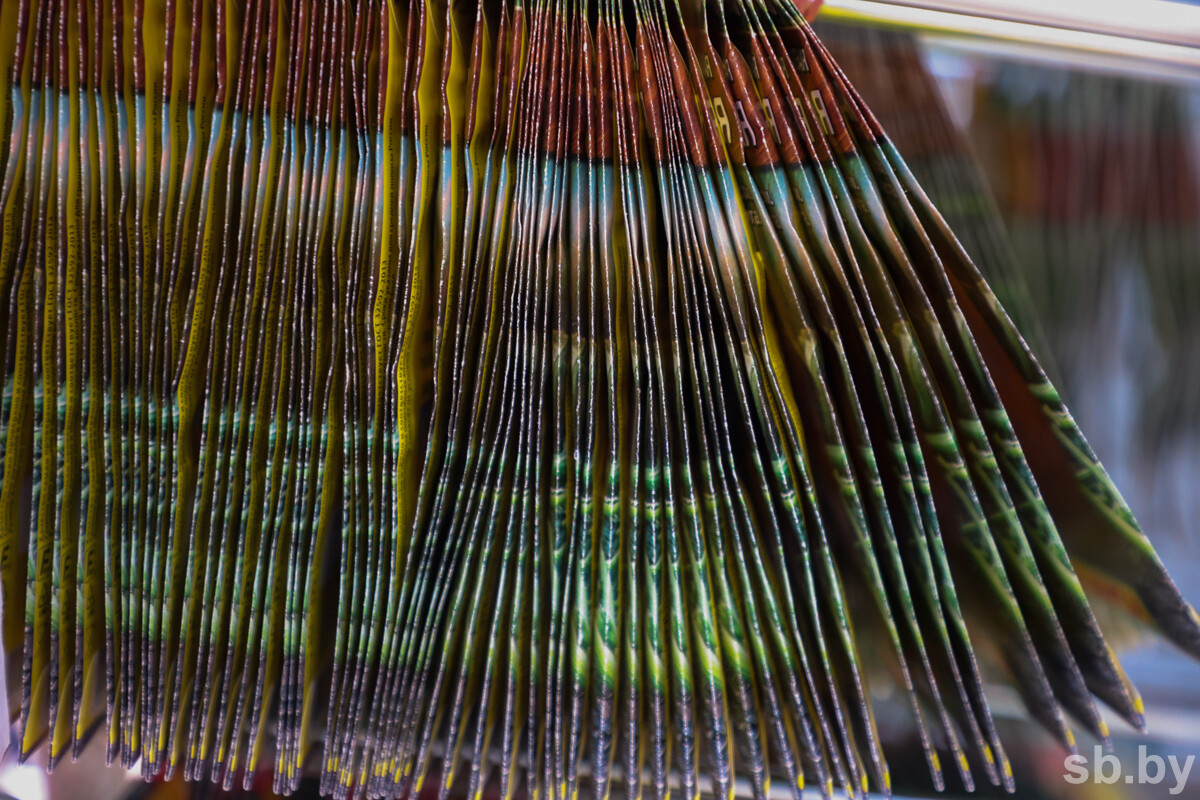 Иллюстративное фото из архива «СБ»