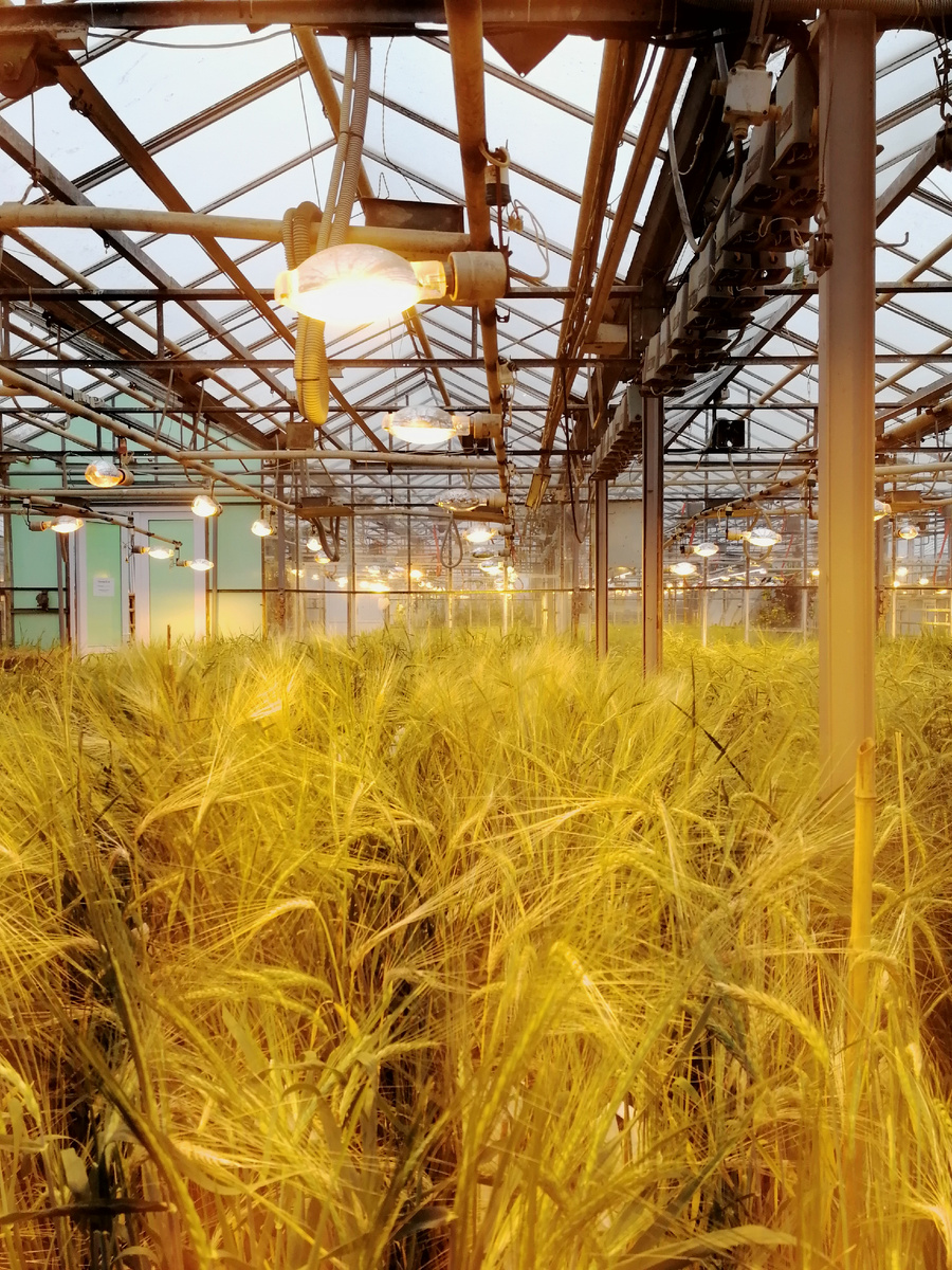 Здесь год можно "прожить" за три - фантастика!