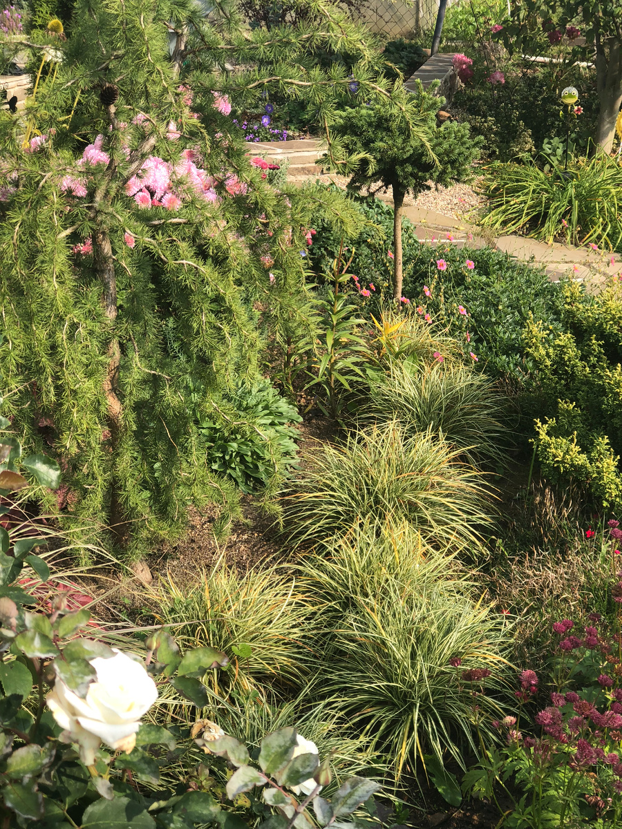 2. В галерее 6 фото, листайте