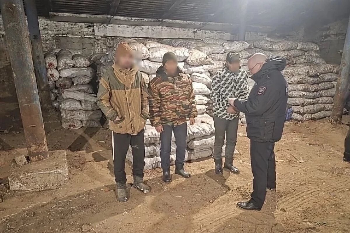    Под Волгоградом разыскивают фермера, незаконно трудоустроившего мигрантов