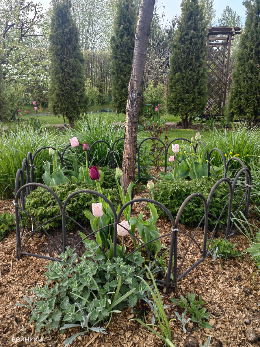 2. В галерее 5 фото, листайте