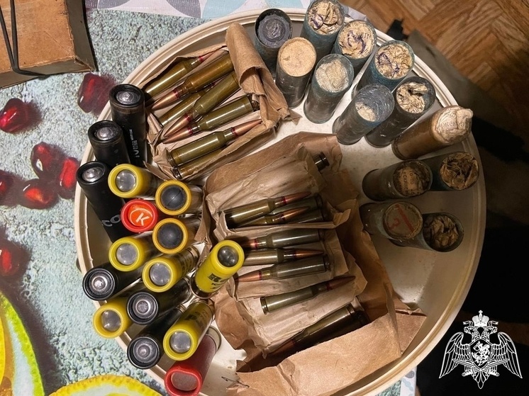     Фото Росгвардии по Владимирской области