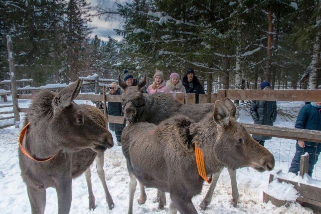 Фото предоставлено нацпарком «Зюраткуль»