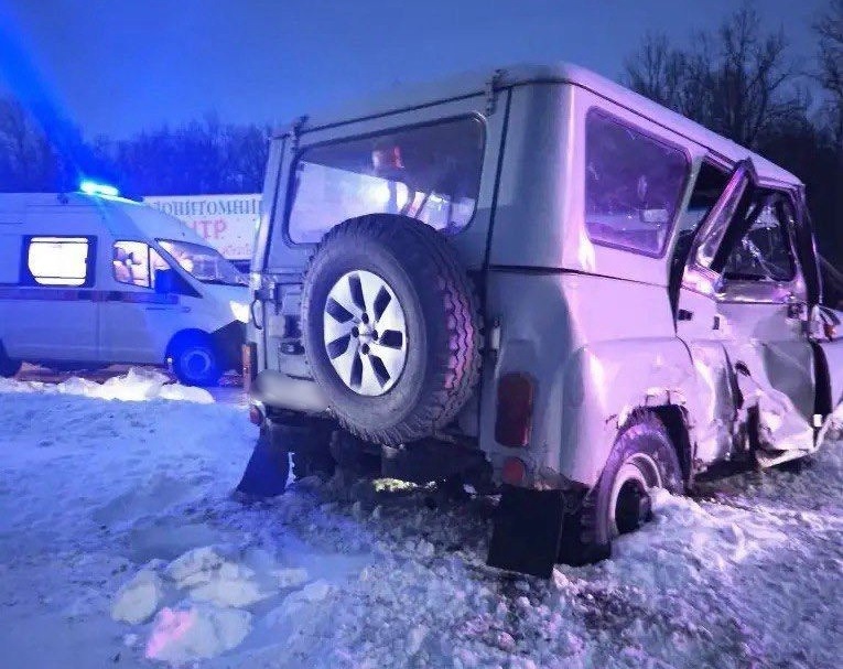     Фото с места происшествия предоставлено пресс-службой ГУ МВД по Воронежской области