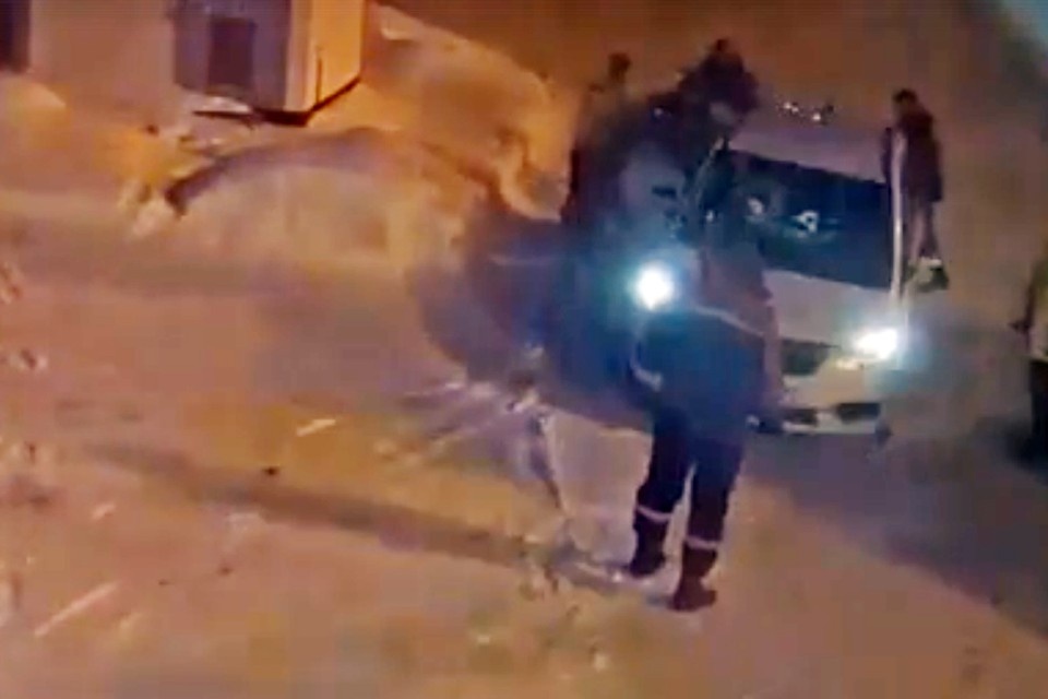    Все действия Ирины в автомобиле были четкими и правильными. скриншот видео