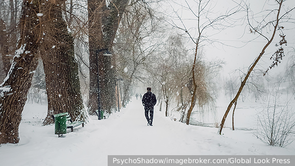     Фото: PsychoShadow/imagebroker.com/Global Look Press   
 Текст: Татьяна Комолапова