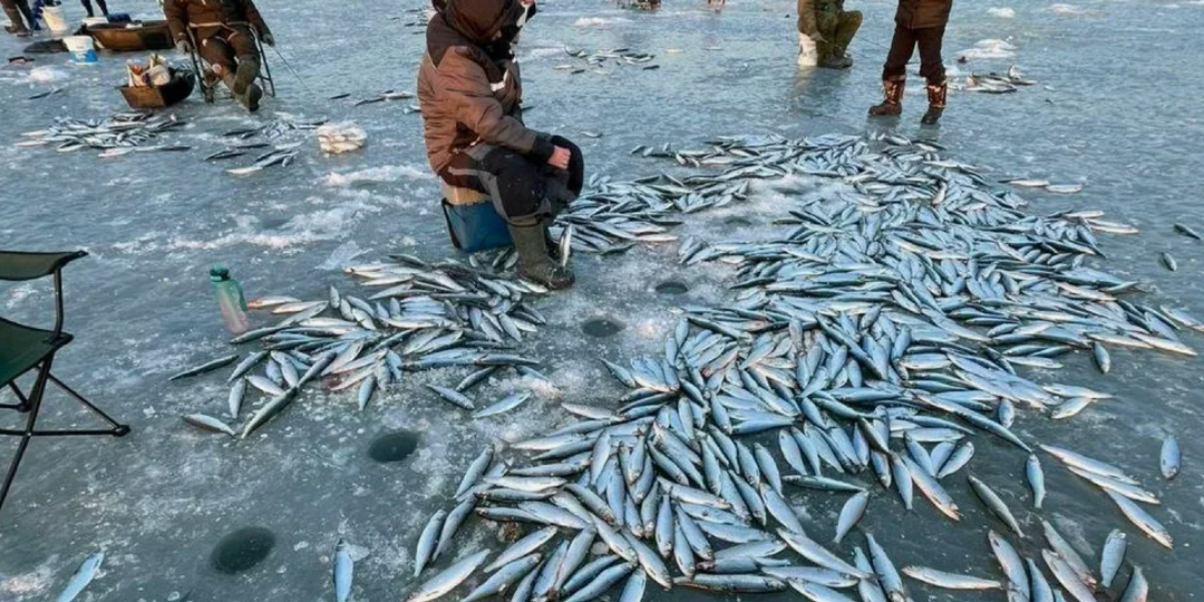 Почему «везёт» только соседу? Правда, которую не любят признавать