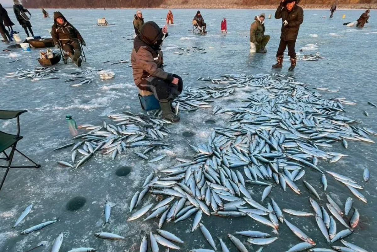 Рыбалка контрастов