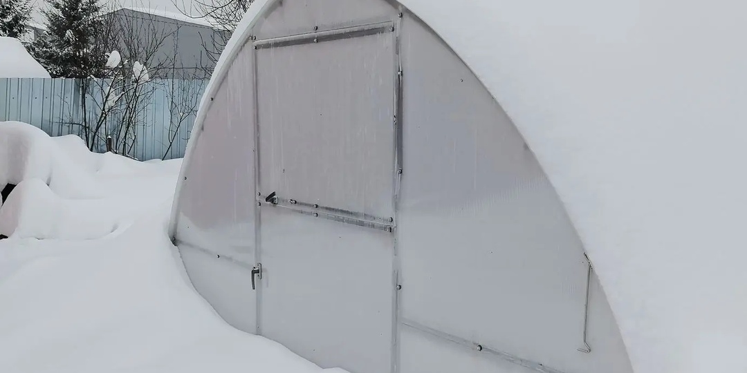 Когда ноешь сама - знай, у кого-то сильно хуже. Это я про снег и про "- 1" теплицу у мамы.