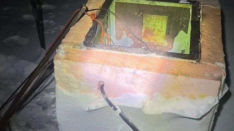     Погром от медведя t.me/ArcticMann