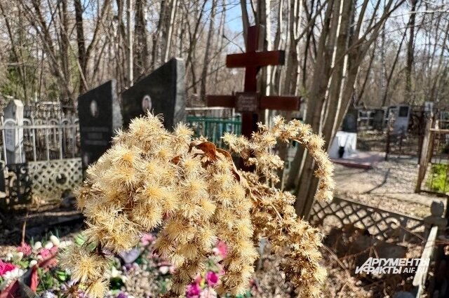    В этот день ходят на кладбище, чтобы привести в порядок могилы и помолиться, устраивают скромную поминальную трапезу. Фото: АиФ/ Анна Городкова