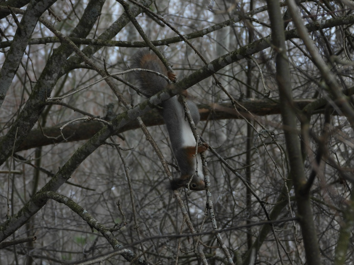 Автор фото Вера Рыженкова