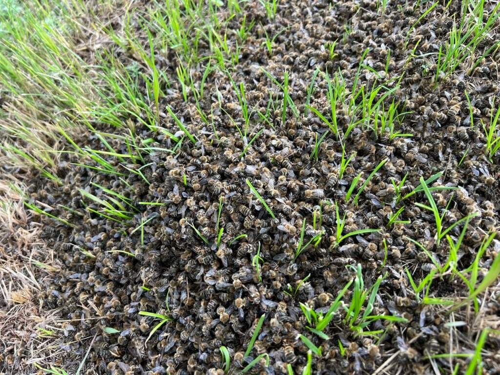    Фото из архива