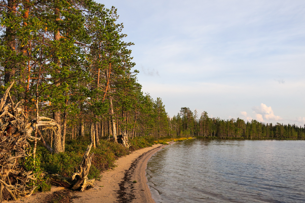 Фото: Центр по ООПТ Республики Коми https://vk.com/ooptrk