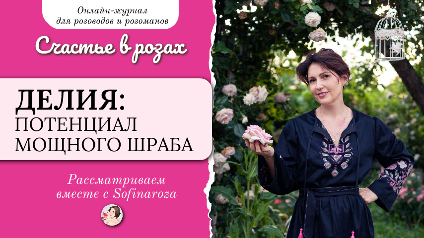 "Счастье в розах", выпуск №2, 13 февраля 2026г.