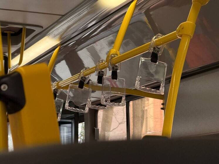     Контроль за общественным транспортом осуществляется на регулярной основе. Фото: архив МК в Питере