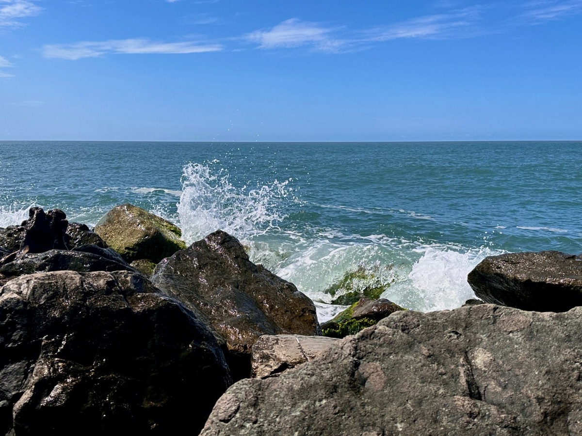 Фото: РБК Юг 