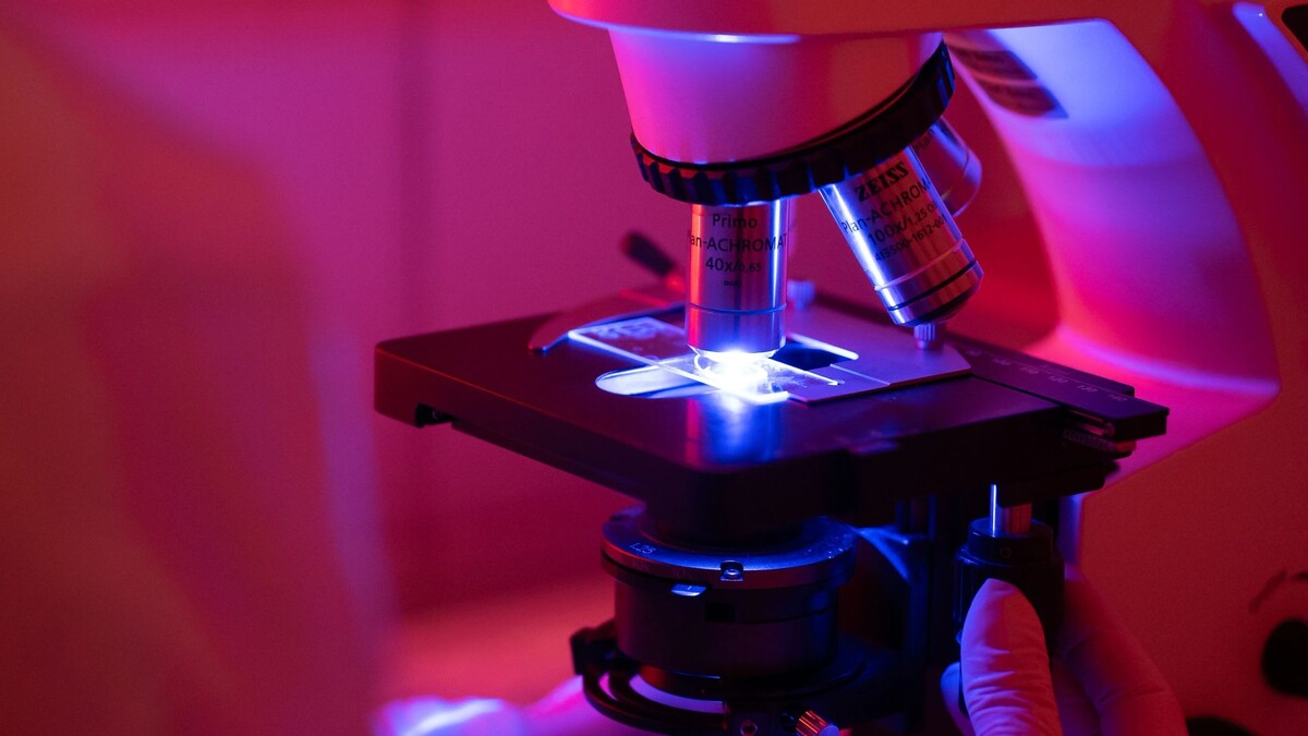    Фото: Сергей Зубков/«Ямал-Медиа»