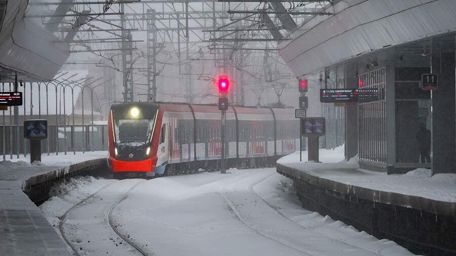    Фото: Global Look Press/Belkin Alexey