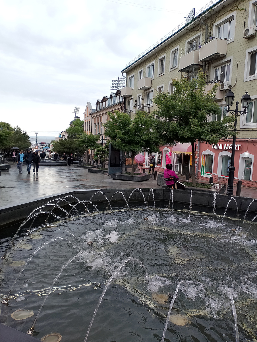 ул Адмирала Фокина