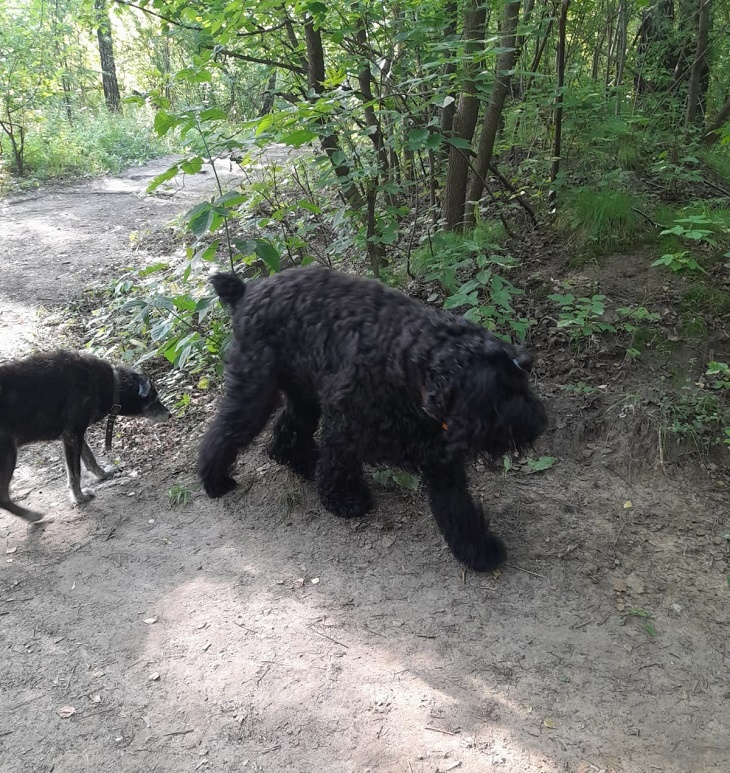 Друзья-товарищи..............Такие разные!!!