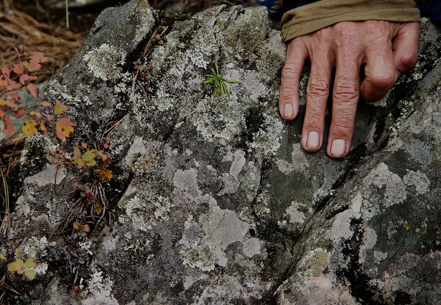 Легендарный алтайский Булкин