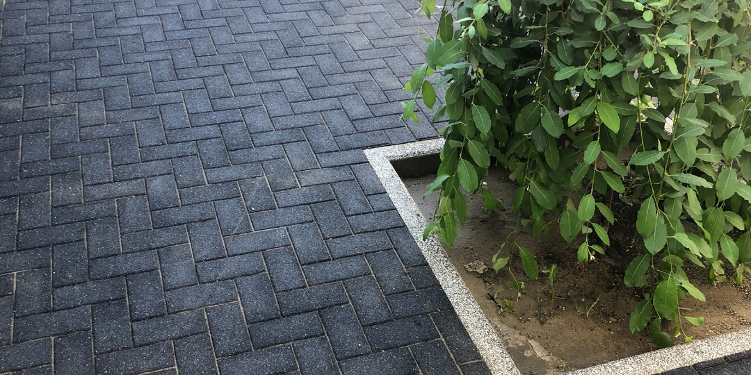 Почему зима — лучшее время для планирования благоустройства