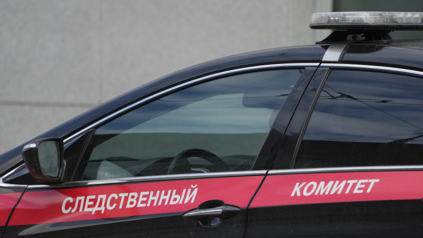    Фото: ИЗВЕСТИЯ/Дмитрий Коротаев