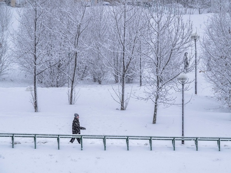     Фото: Konstantin Kokoshkin/Global Look Press