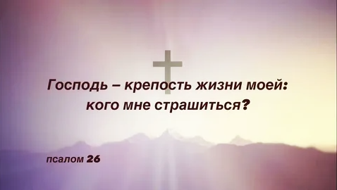 Яндекс Картинки