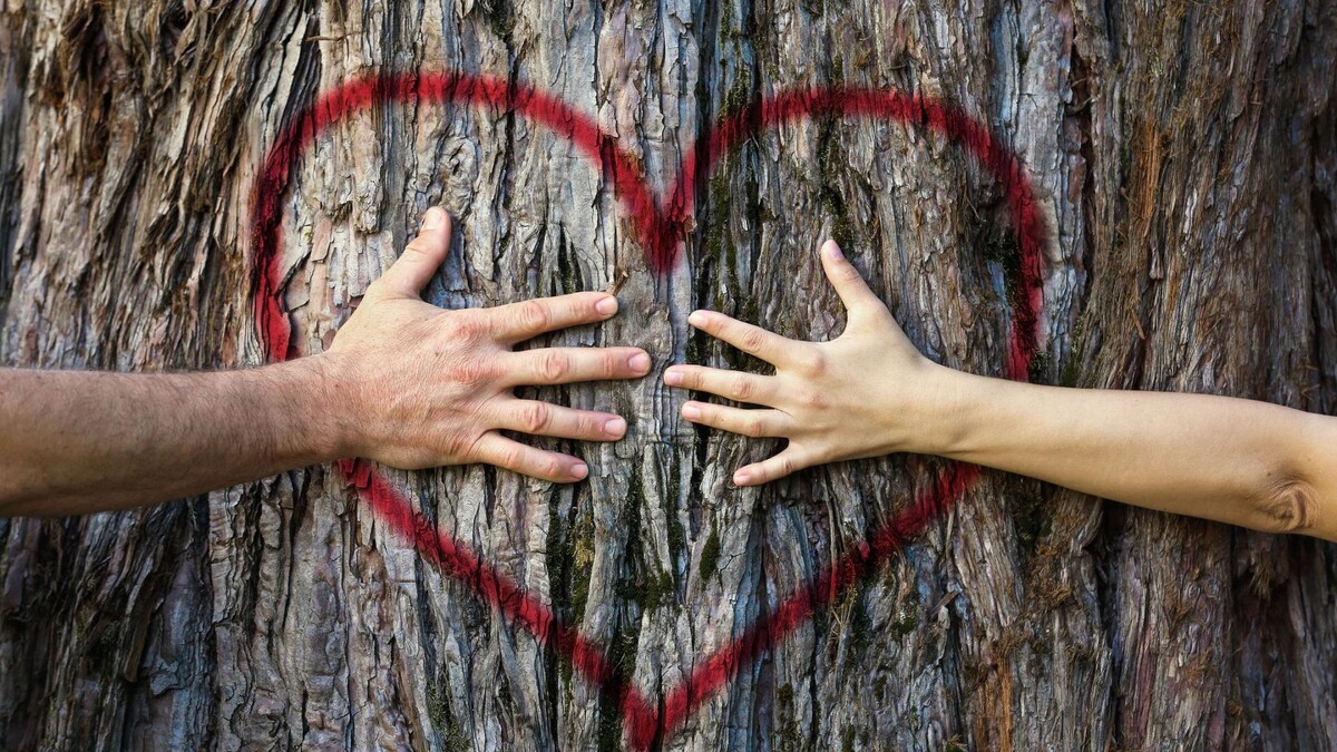    Фото: zlikovec/Shutterstock/Fotodom