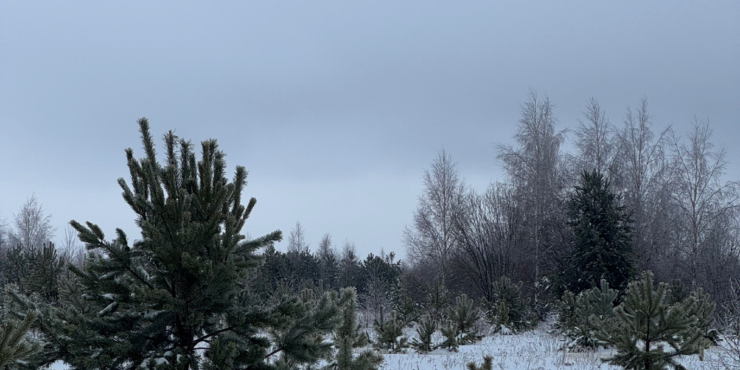 Мы застряли в тайге без бензина и почти без надежды… Спасение пришло оттуда, откуда не ждали