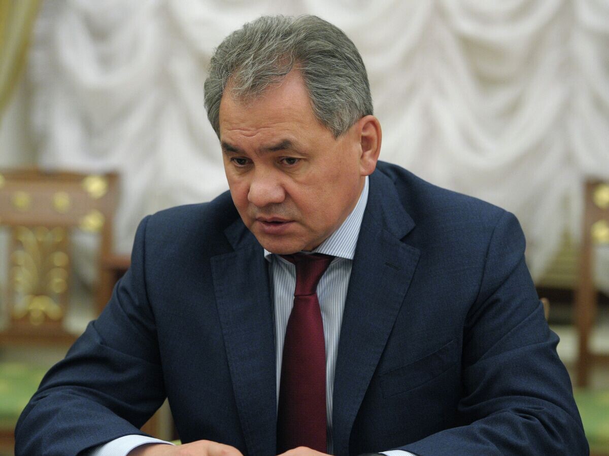    Министр обороны РФ Сергей Шойгу | © РИА Новости / Алексей Дружинин